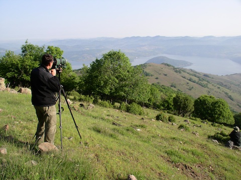 Birdwatching Holidays in Bulgaria